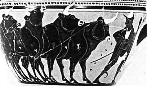 hermes cattle of apollo|hermes and the lyre.